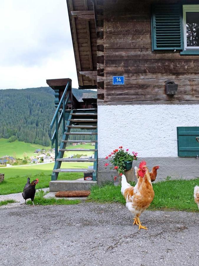 Ferienhaus Asterbach Gosau Eksteriør bilde