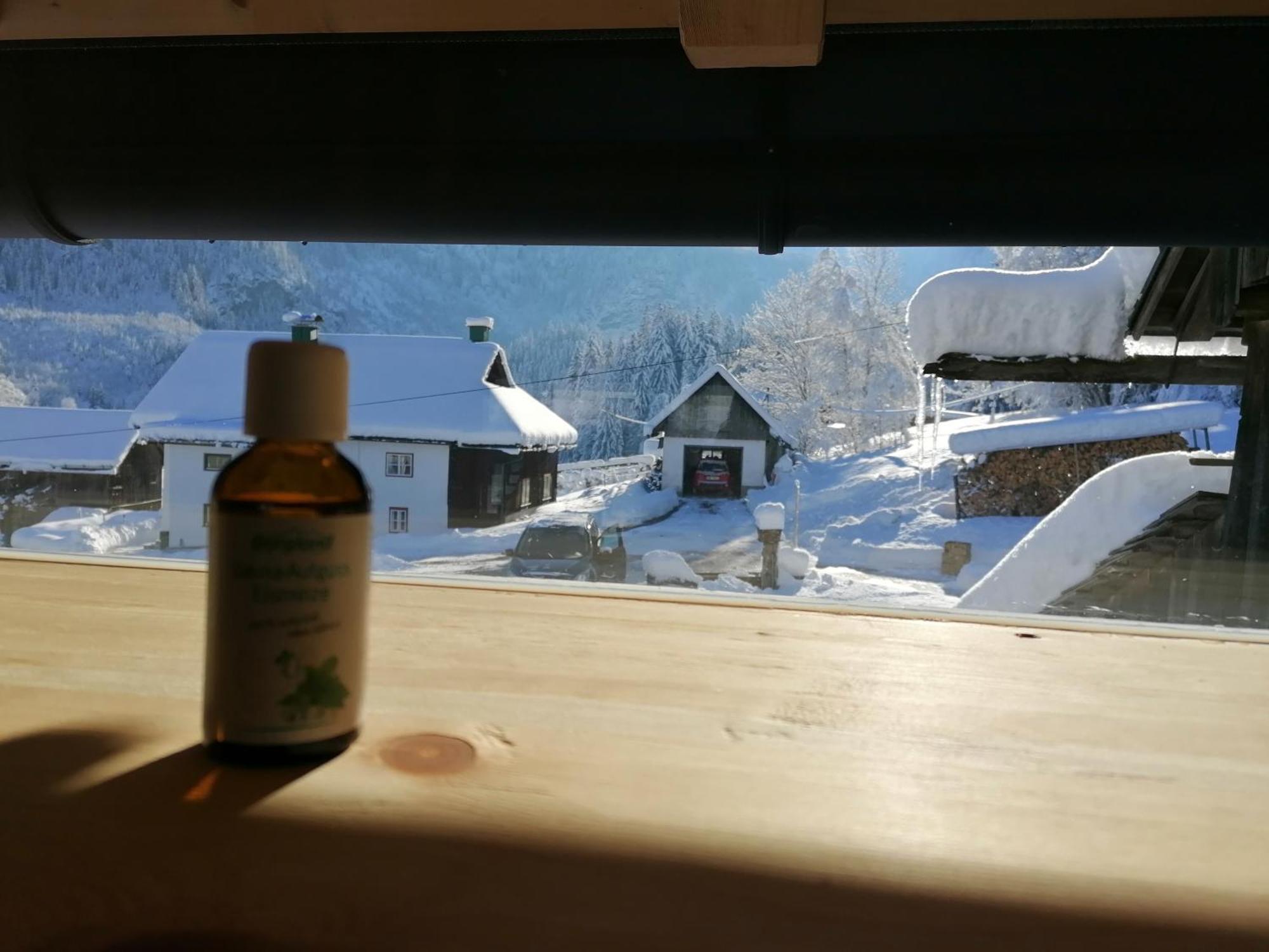 Ferienhaus Asterbach Gosau Eksteriør bilde